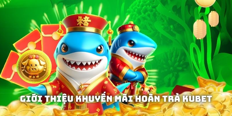 Bạn còn được cập nhật liên tiếp và tham gia các events hoàn tiền miễn phí