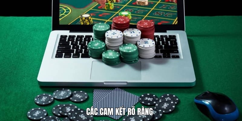 Các cam kết rõ ràng