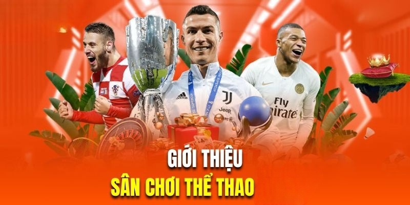 Đa dạng sảnh thể thao cho hội viên trải nghiệm